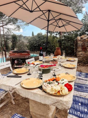 Bastide Provencale dans les vignes